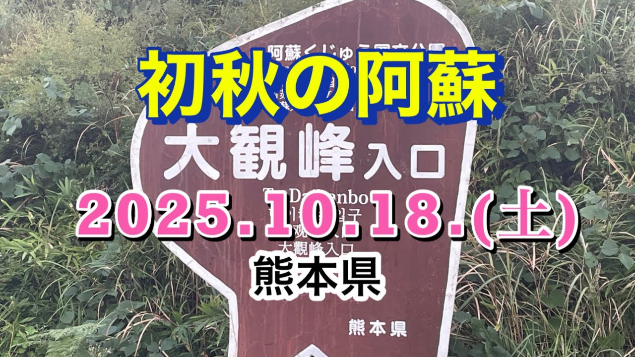 初秋の阿蘇は、ススキの穂が少し出ています　#大観峰 #阿蘇 #南阿蘇 #上色見熊野座神社