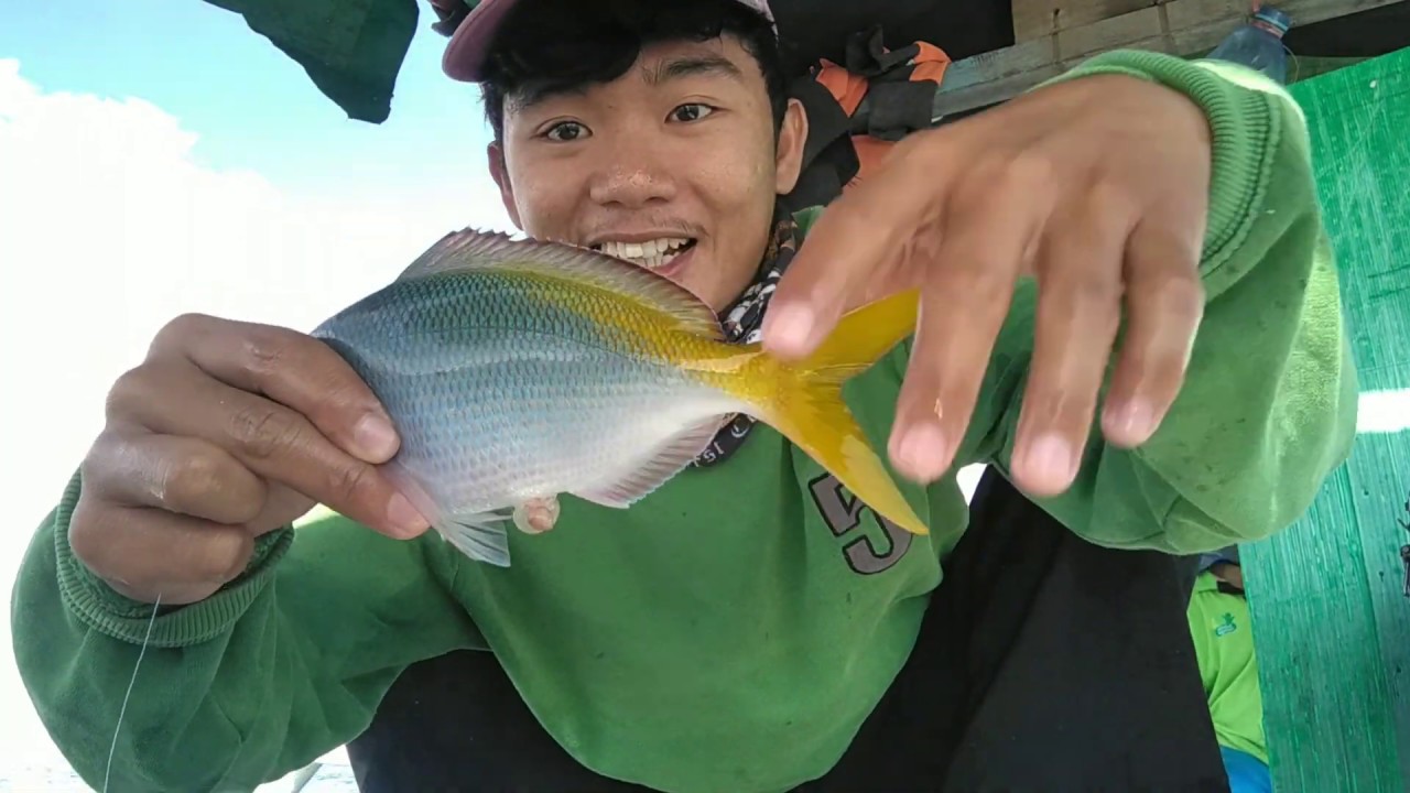 Spot mancing ikan ekor kuning!!! Auto panen di jamin puas
