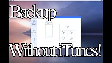 Selectively back up and restore iPhone/iPad/iPod touch with iMyFone D-Port Pro/ iTransor