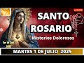 Santo Rosario de Hoy ❤️❄️🤍 Martes 1 de Julio de 2025 #shorts #virgenmaria #viralvideo #video