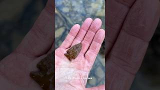 Ancient Arrowheads in Kentucky Creeks! 🏹  #ancienttreasures #arrowheadhunting #treasurediscoveries