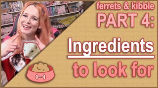 Ingredients to Look for in Ferret Food (Ferrets & Kibble  part 4)