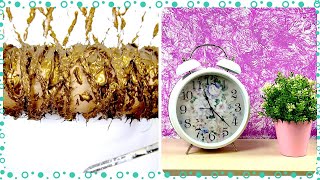 WALL DECORATING IDEAS USING ORDINARY THINGS
