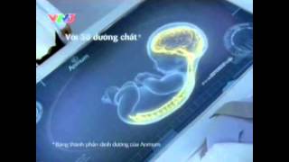 Anmum - Vietnam 2011