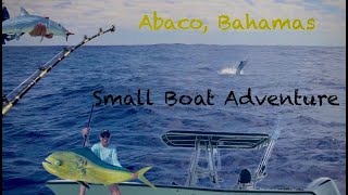 Abaco, Bahamas: Blue Marlin, Mahi, Bonefish, and Island Hopping in a Small Rental Boat