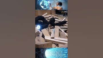 Robot  Snake You Haven’t Seen 🥰#shortvideo #shorts