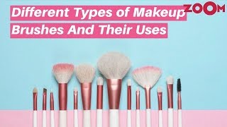 Different Types of Makeup Brushes And Their Uses  - Must Have Makeup Brushes for Beginners