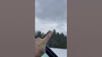 Day 2… #shorts #hivemapper #crypto