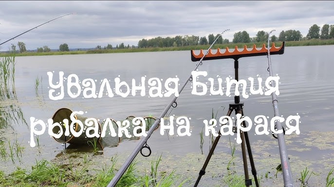 Информация о рыбалке на озере Верблюжье в Омской области
