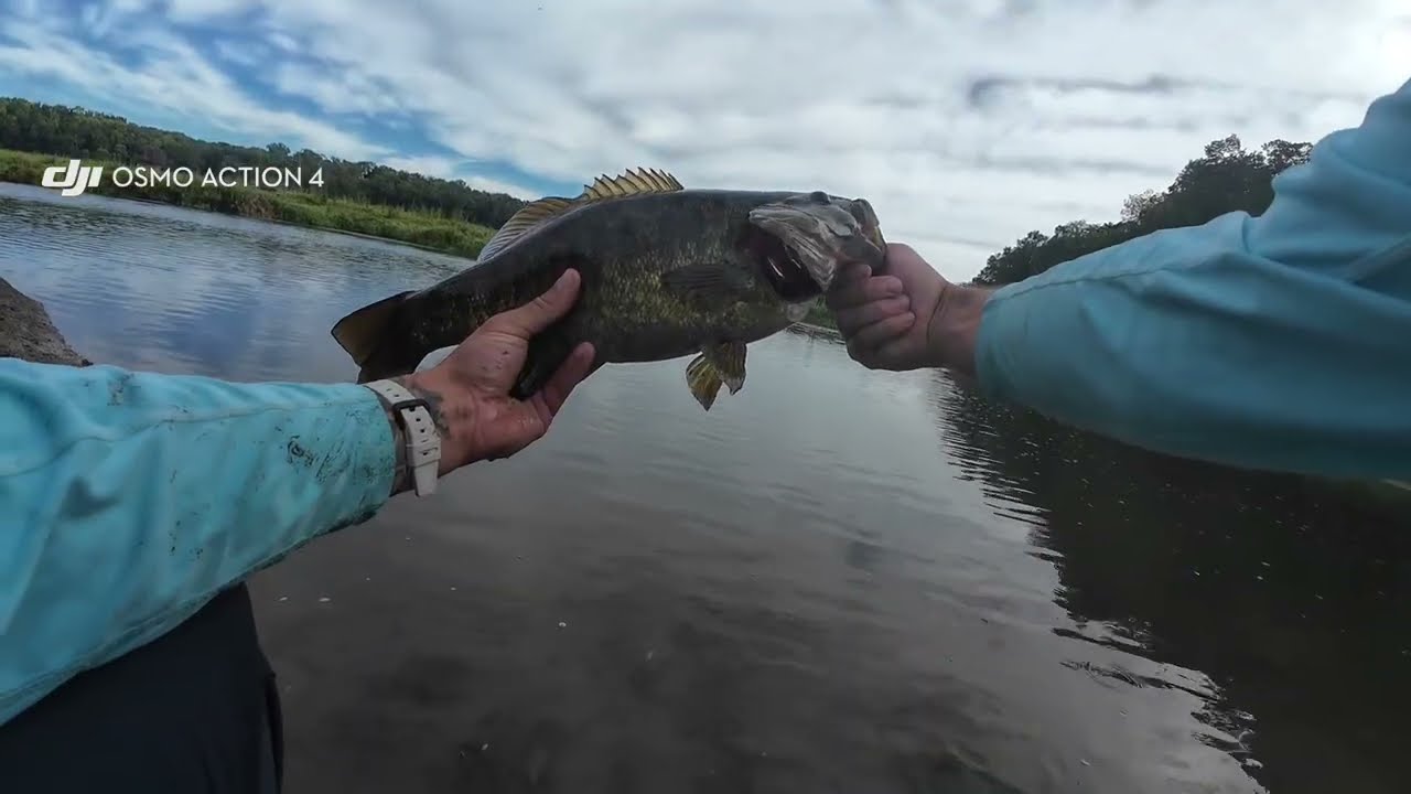 Creek Smallmouth Bass Fishing (Big Fish!) #bassfishing #smallmouthbass