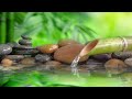 24 Hour Relaxing Music - Stress Relief Music, Meditation, Spa, Sleep, Zen, Calming Music, Study,Yoga