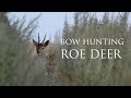 BOWHUNTING ROE DEER - Buejagt på rådyr