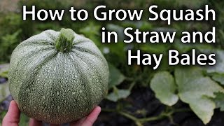 Growing Squash in Straw/Hay Bales - Sustainable Vegetable Gardening