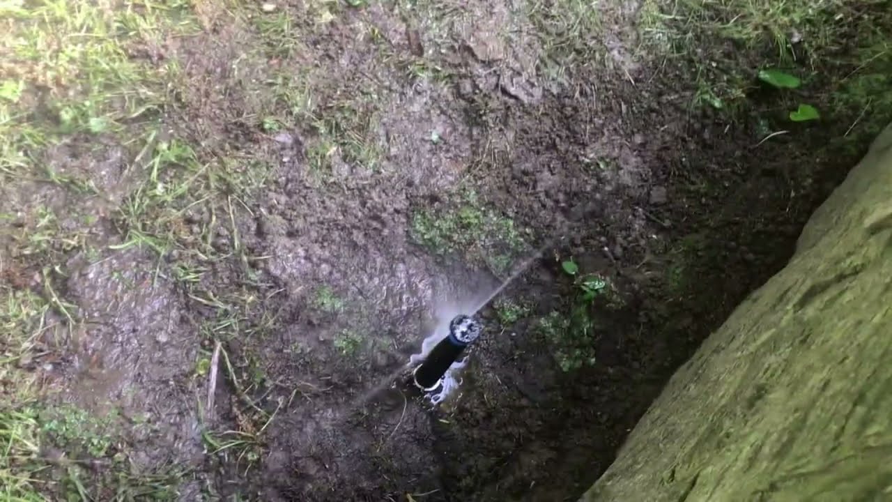 Sprinkler System startup of 2021