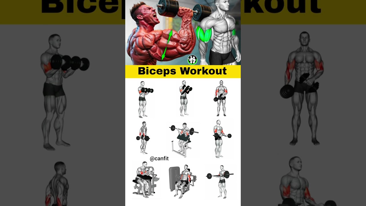 "Get Pumped The Ultimate Biceps Workout that Transforms Your Arms in Just 30 Days 