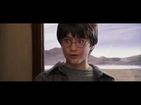 ჰარი ჰერმიონი და რონი: პირველი გაცნობა