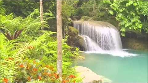 سورة المسد تلاوة عبدالرحمن جمال العوسي