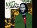 Look whos dancin  ziggy marley and the melody makers