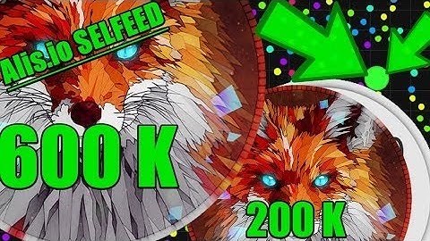 Alis.io WINNING SELF-FEED COMPILATION [#1]