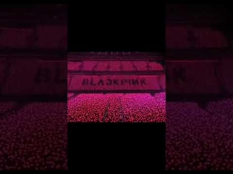 Blackpink And Ocean Pink Seoul 2022 Blackpink Blink Fyp