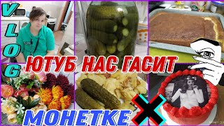 ГОТОВЛЮ/ВЫГОДНЫЕ И ДОЛГОЖДАННЫЕ ПОКУПКИ/ЦВЕТЫ ДЛЯ РОДНЫХ💐/РОССИЙСКИЕ БЛОГЕРЫ ОСТАЛИСЬ БЕЗ ДОХОДА