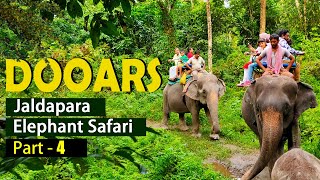 Dooars | Elephant Safari | jaldapara National Park | Travel Buff