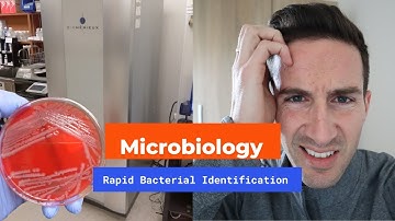 MALDI-TOF Mass Spectrometry - Microbiology