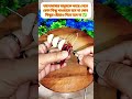 ভালোবাসার মানুষকে কাছে পেতে #shorts #shortvideo #short #tips #tipsandtricks