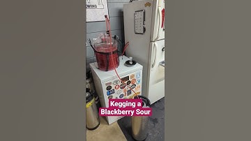 Blackberry Sour #beer #Homebrew #homebrewing #makebeer #cityscape