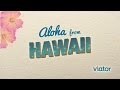 Aloha from hawaii