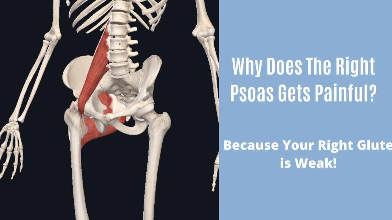 Why Does The Right Psoas Hurt YouTube Why Does The Right Psoas Hurt YouTube