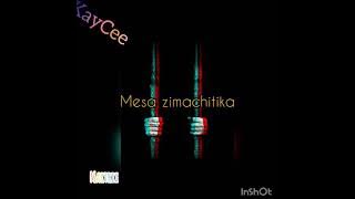 MARTRIX  - TSOKA SILINUNKHILA VIDEO LYRICS