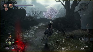 Nioh 2 - Why most builds use 30+ Dexterity and Magic