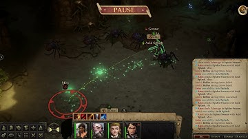 Pathfinder Kingmaker: 2 Spider Swarms