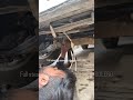 STEARING ASSEMBLY CHANGE IN NEW BOLERO 🚗#shortvideo #car #shorts