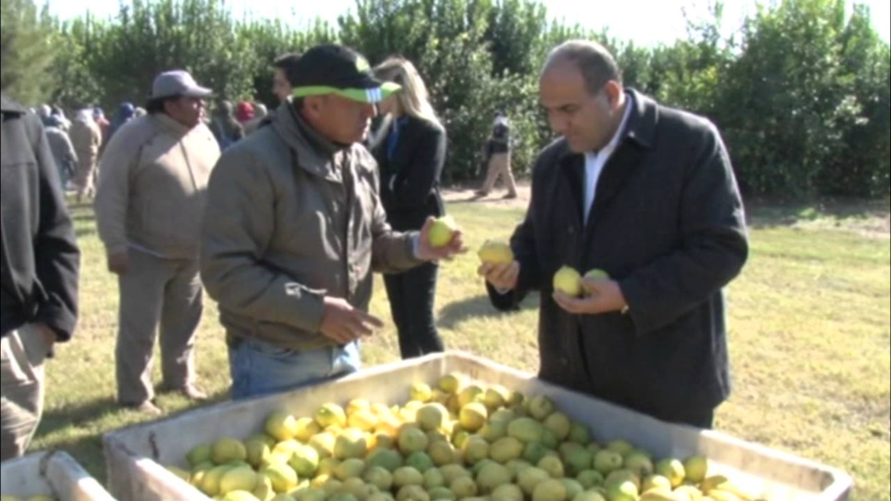 “Esperamos que en 2017 podamos estar exportando limones a EE UU” - Gobierno de Tucumán