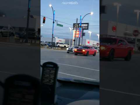 Muscle cars in the wild! Camaro vs Challenger!