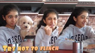 Try Not to FLINCH  | Ashta Rej