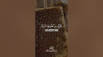 ما تيسر من #سورة_النحل (عام 2012) - القارئ علاء المزجاجي