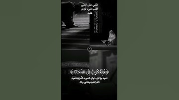 #قرآن #القارئ #ابراهيم_ادريس صلي على النبي اكتب شيء تؤجر عليه 🤍 #اكسبلور #لايك