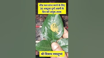 शीघ्र फल प्राप्त करने के लिए 30 अक्टूबर दुर्गा अष्टमी के दिन करें अचूक उपाय #pradeepmishra #upay