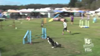 EEK Steeplechase Finals USDAA Western Regionals 2014