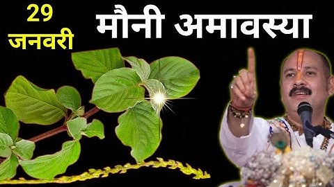 29 जनवरी बुधवार मौनी अमावस्या के दिन पहन लेना इस पौधे की जड़ धनवान बनोगे || Pradeep Ji Mishra