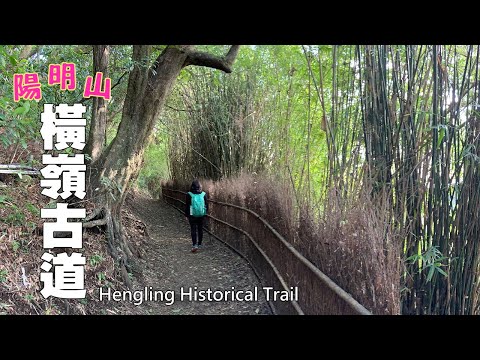 媲美「日本京都嵐山竹林小徑」！陽明山～ 橫嶺古道 (Hengling Historical Trail)