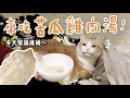 【黃阿瑪的後宮生活】來吃苦瓜雞肉湯！冬天幫貓進補～