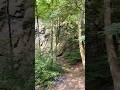 Nice Forest with rock walls #bochum #forest #wood #nature #punkrock #blink182 #guitar #music