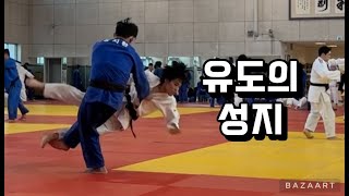 유도의 성지 용인대학교에 가다!