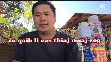 tu qaib li cas thiaj muaj zog