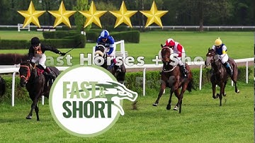 Fast & Short Speed Ratings - Horse racing betting
