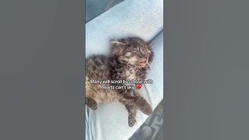 Every donation you share today counts towards saving life. Will you please donate to save her